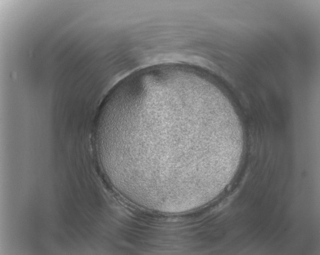 X0000066941497200604142010