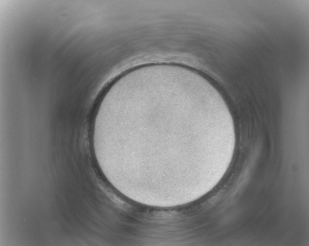 X0000066941498200604142010