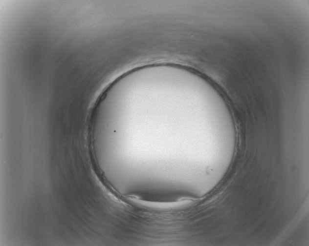 X0000066941500200604142010