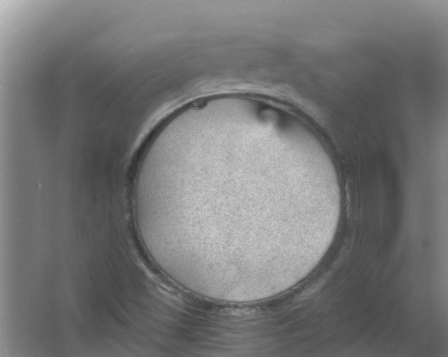 X0000066941501200604142010