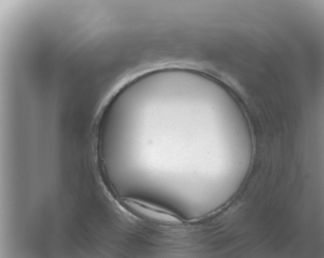 X0000066941504200604142010