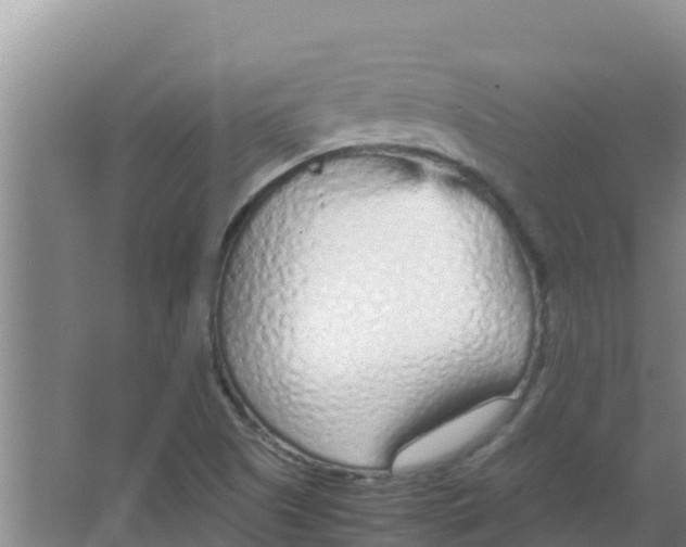 X0000066941505200604142010