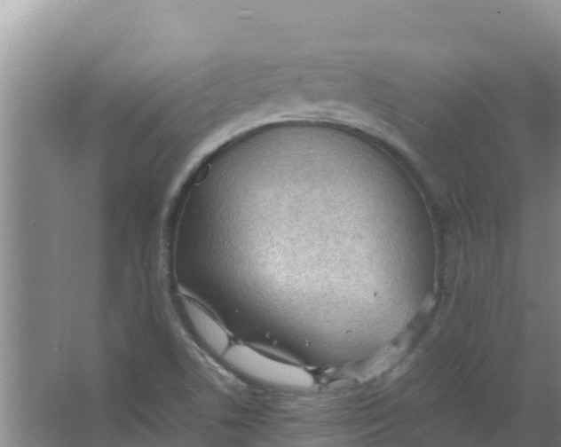 X0000066941506200604142010