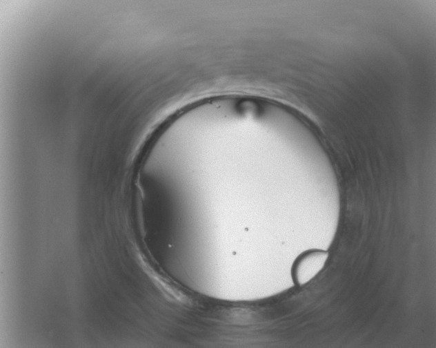 X0000066941507200604142010