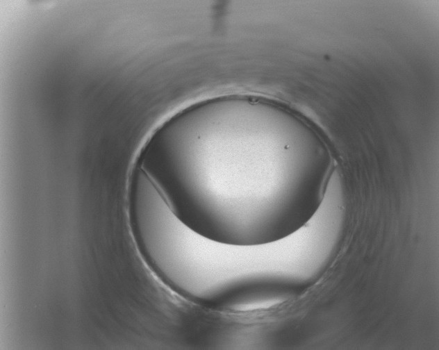 X0000066941508200604142010