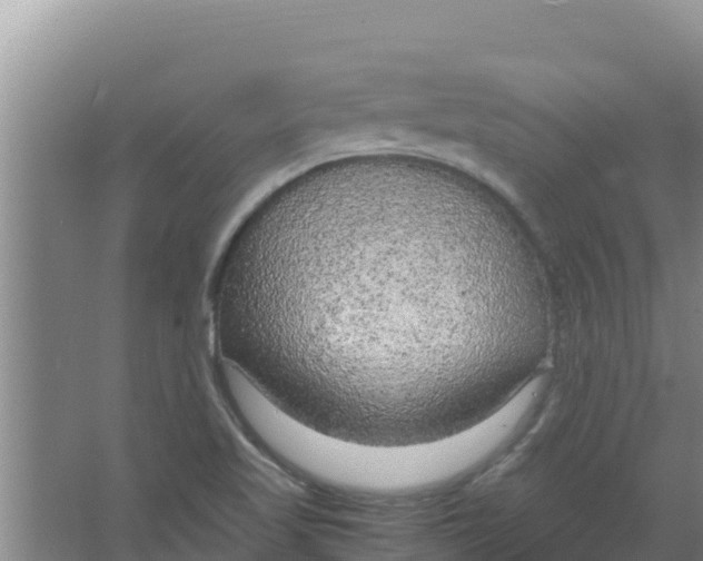 X0000066941509200604142010