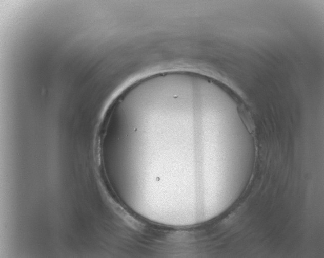 X0000066941510200604142010