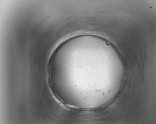 X0000066941511200604142010