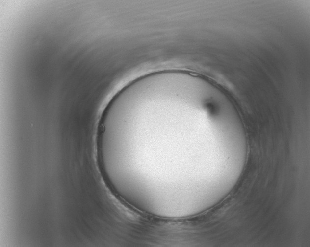 X0000066941512200604142010