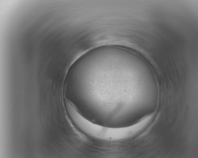 X0000066941513200604142010