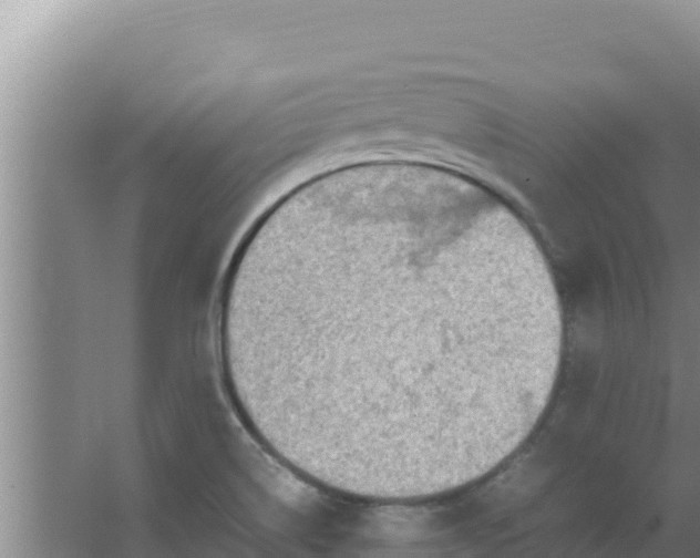 X0000066941514200604142010