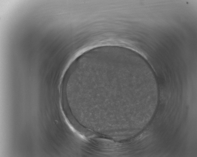 X0000066941515200604142010