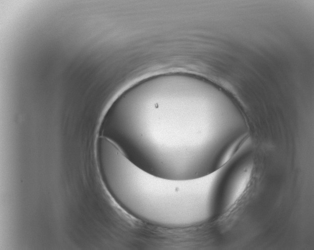 X0000066941516200604142010