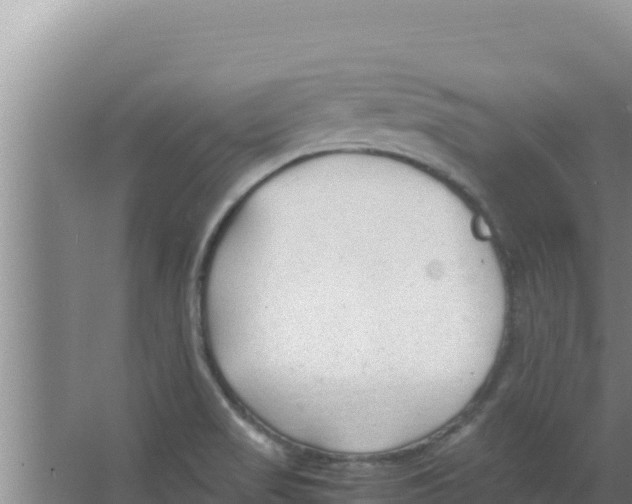 X0000066941517200604142010