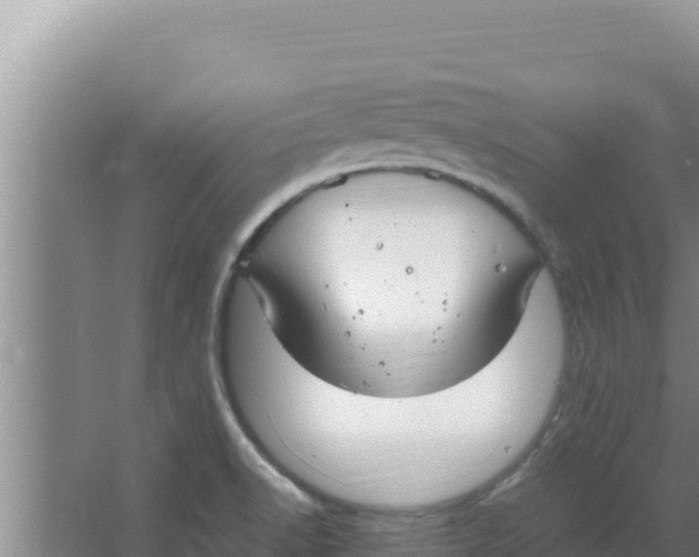 X0000066941518200604142010