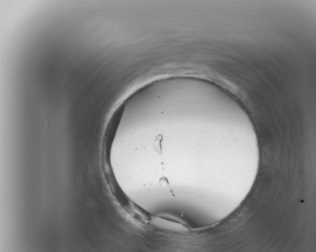 X0000066941520200604142010