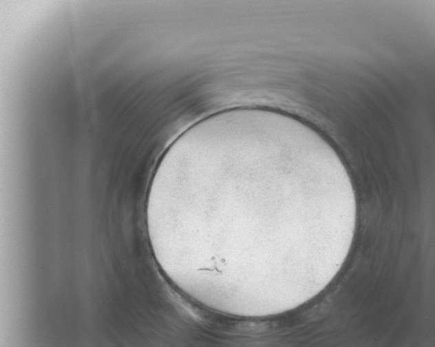 X0000066941521200604142010