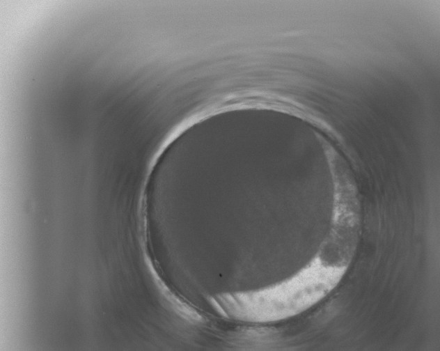 X0000066941522200604142010