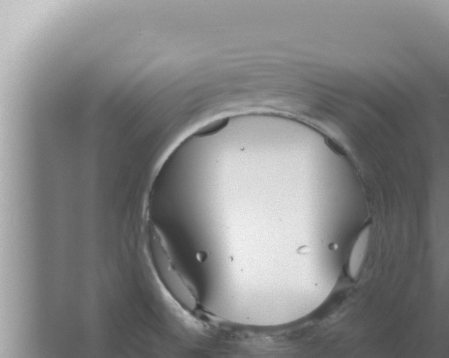 X0000066941524200604142010