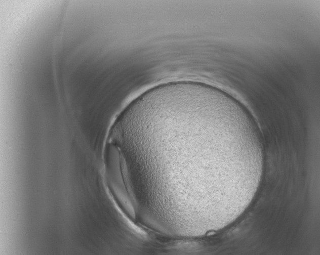 X0000066941525200604142010