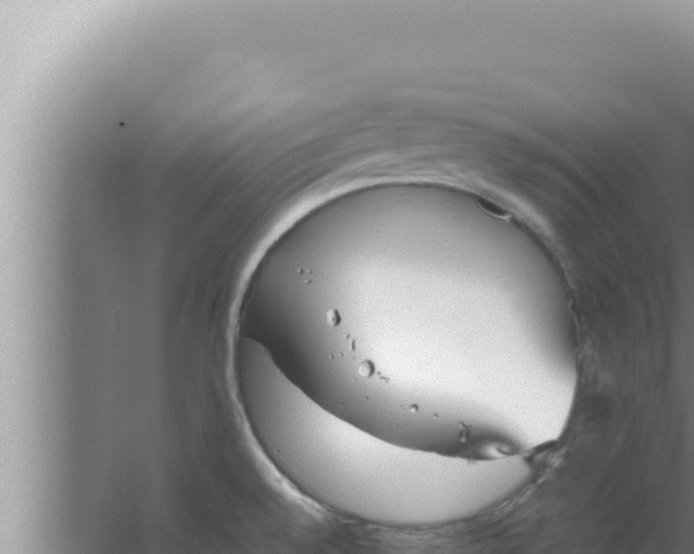 X0000066941528200604142010