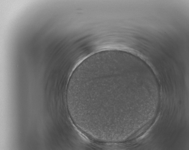 X0000066941529200604142010