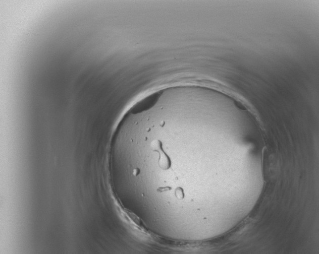 X0000066941530200604142010