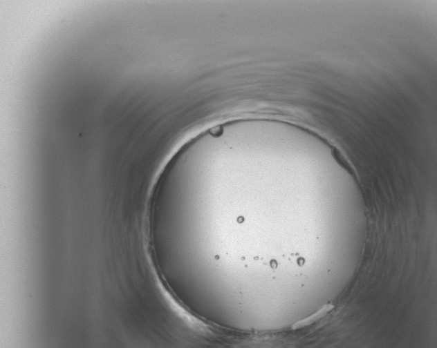 X0000066941531200604142010