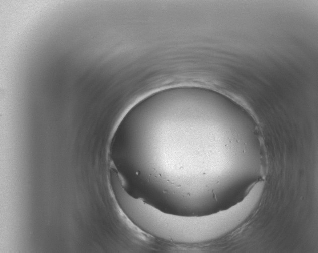 X0000066941532200604142010