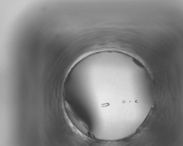 X0000066941534200604142010