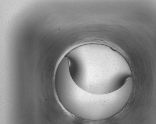 X0000066941536200604142010