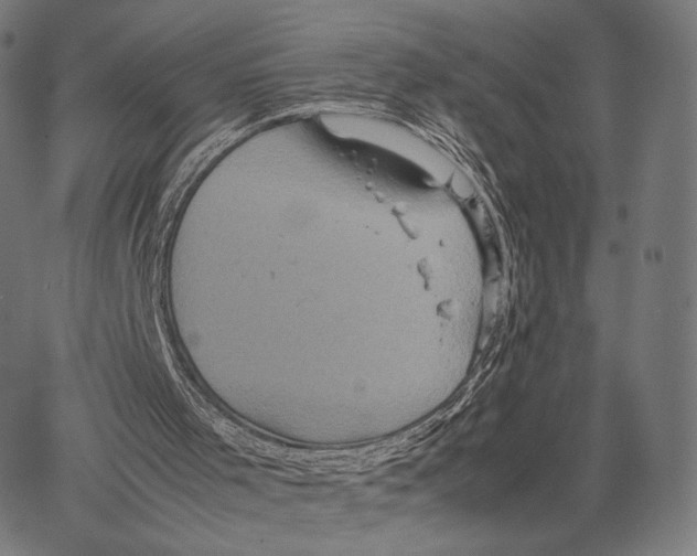 X0000066940001200604211801