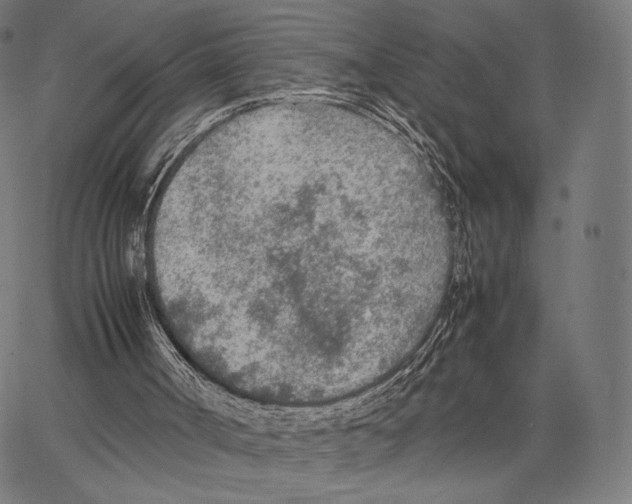 X0000066940002200604211801