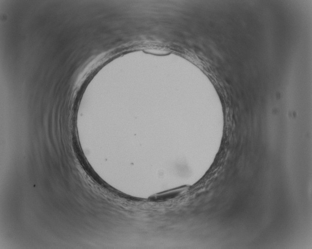 X0000066940007200604211801