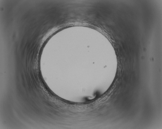 X0000066940008200604211801