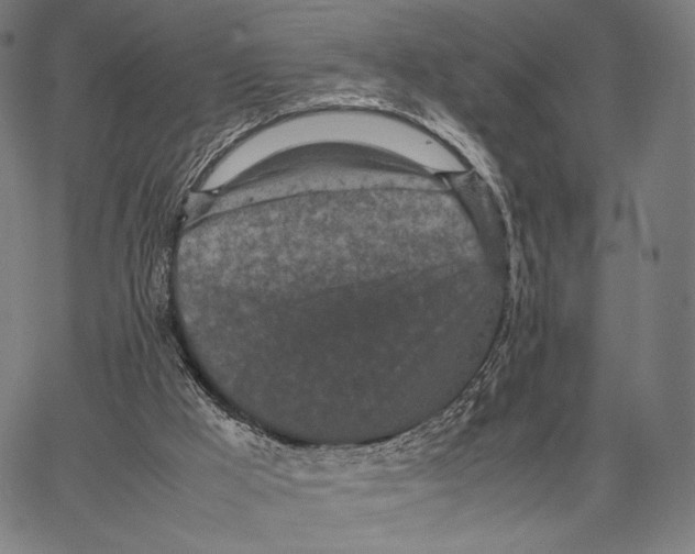 X0000066940009200604211801