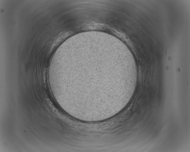 X0000066940010200604211801