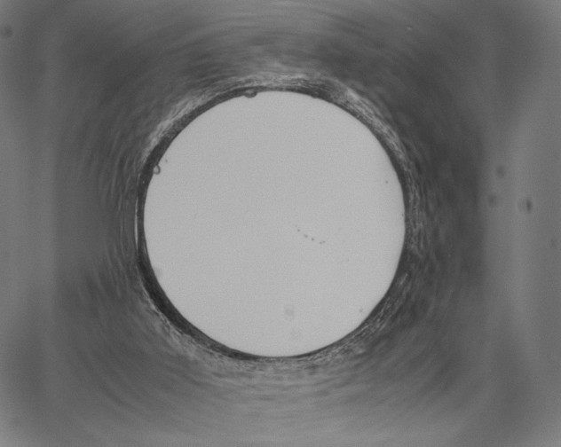 X0000066940011200604211801