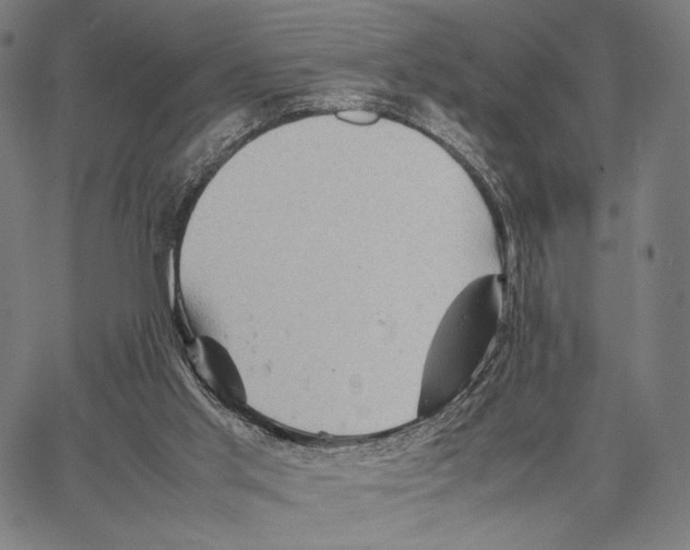 X0000066940013200604211801