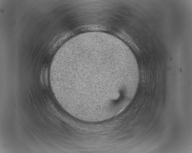 X0000066940014200604211801