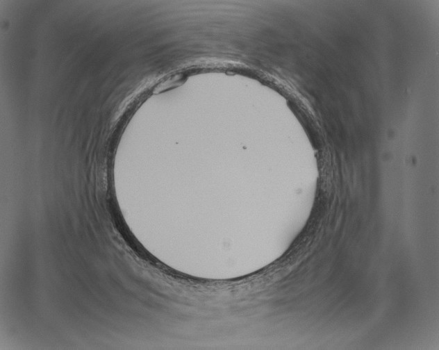 X0000066940015200604211801