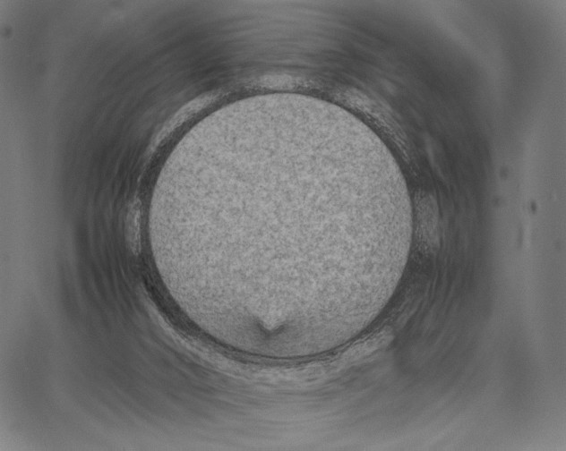 X0000066940016200604211801