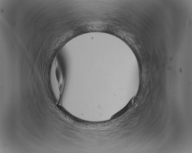 X0000066940017200604211801