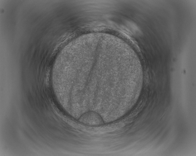 X0000066940018200604211801