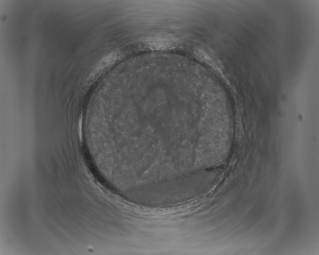 X0000066940019200604211801