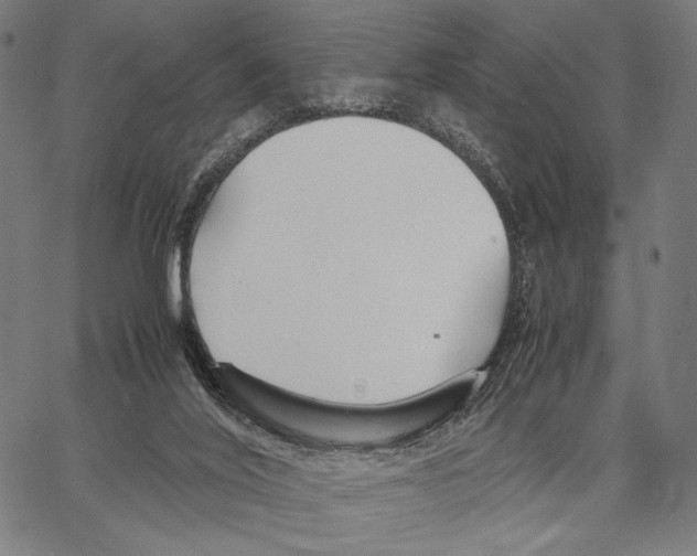 X0000066940020200604211801