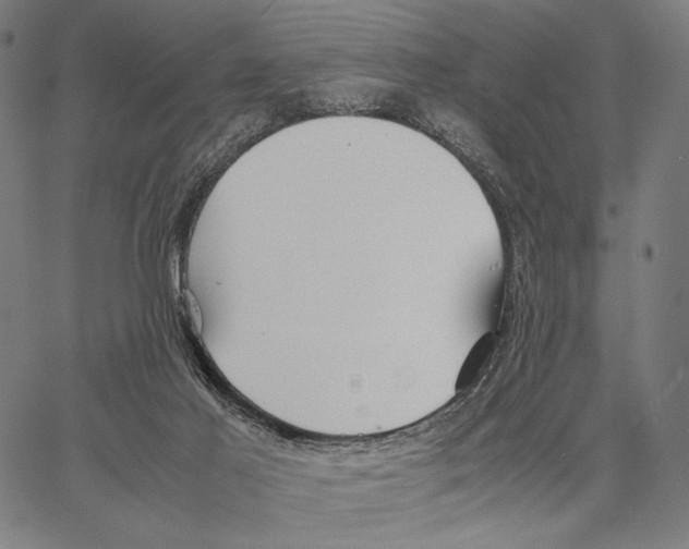 X0000066940021200604211801