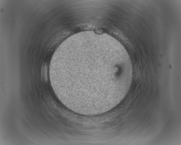 X0000066940022200604211801