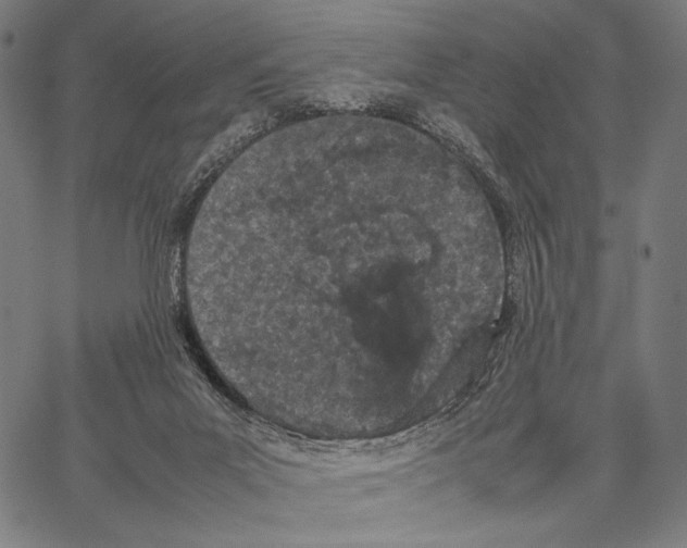 X0000066940023200604211801