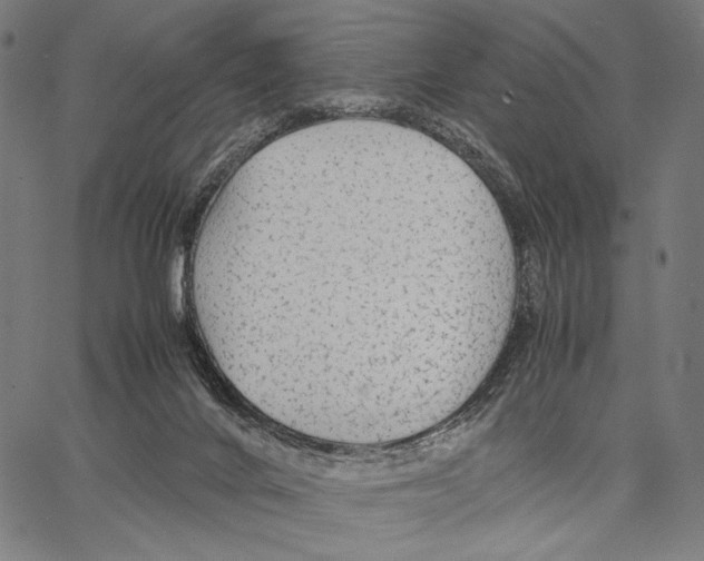 X0000066940024200604211801